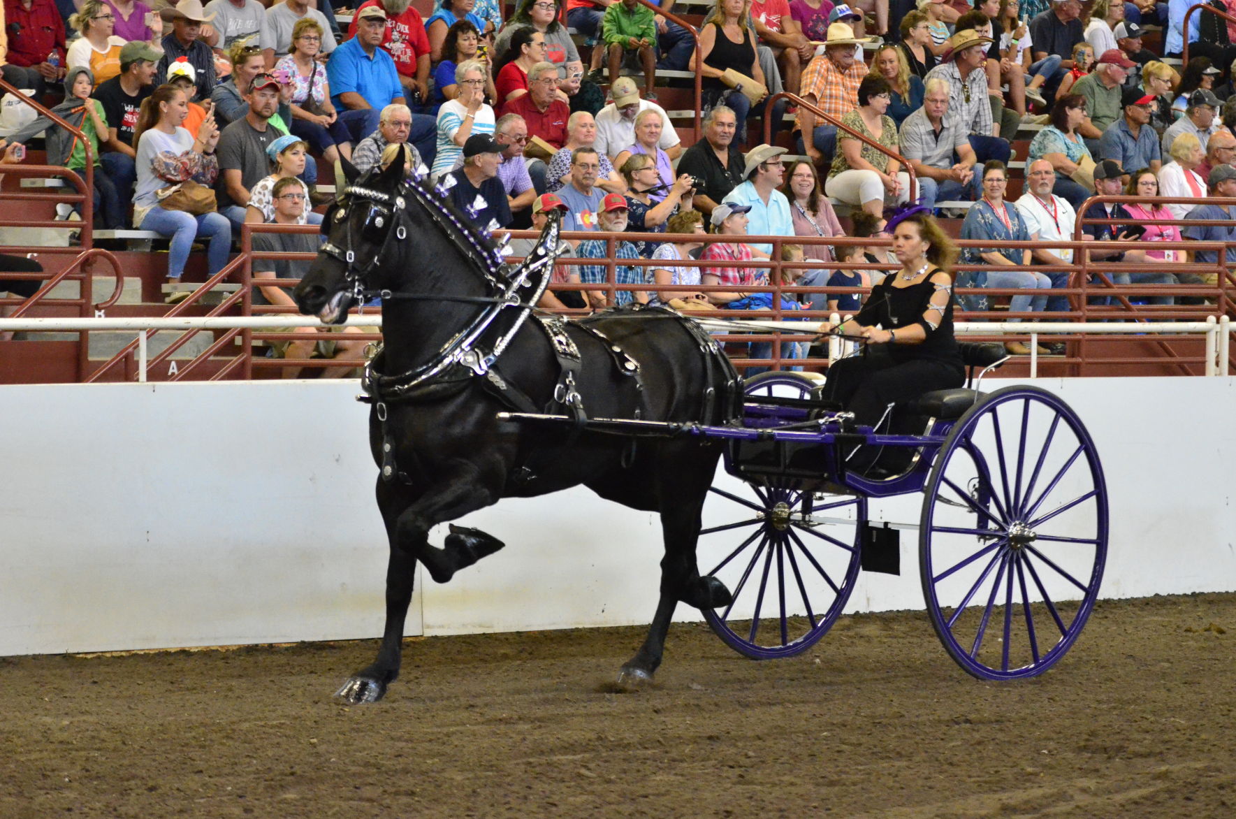 8-25-19 Draft Horse Hitch Final (25).JPG